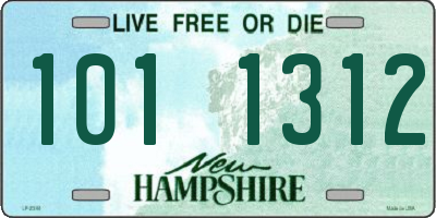 NH license plate 1011312