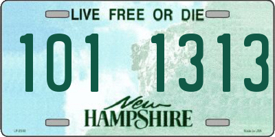 NH license plate 1011313