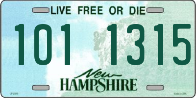 NH license plate 1011315