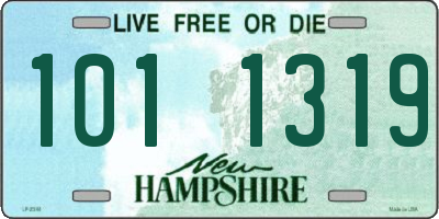 NH license plate 1011319