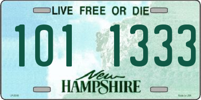 NH license plate 1011333