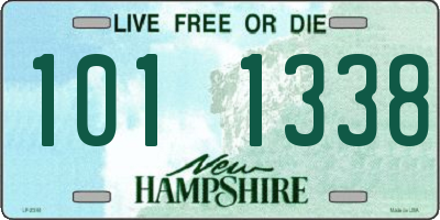 NH license plate 1011338