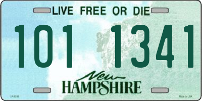 NH license plate 1011341