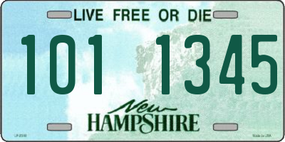 NH license plate 1011345