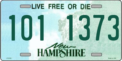 NH license plate 1011373