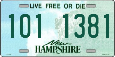 NH license plate 1011381