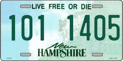 NH license plate 1011405