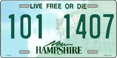 NH license plate 1011407