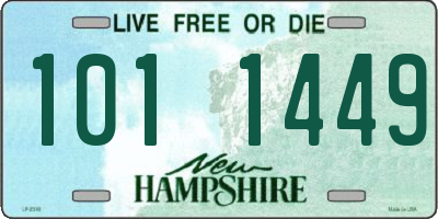 NH license plate 1011449