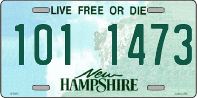 NH license plate 1011473