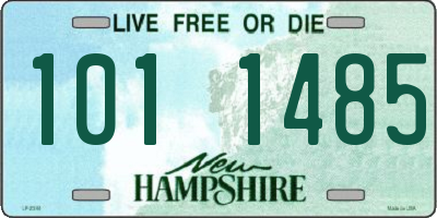 NH license plate 1011485