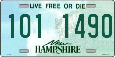 NH license plate 1011490