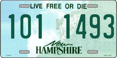 NH license plate 1011493