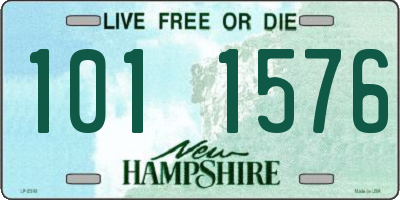 NH license plate 1011576