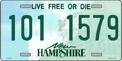 NH license plate 1011579