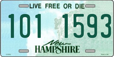 NH license plate 1011593