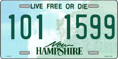 NH license plate 1011599