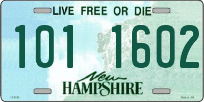 NH license plate 1011602