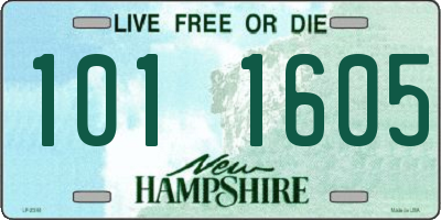 NH license plate 1011605