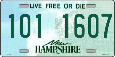 NH license plate 1011607