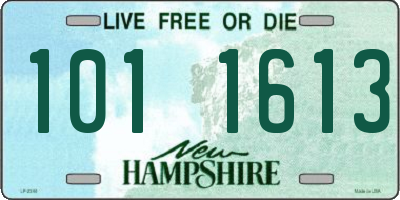 NH license plate 1011613