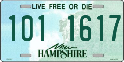 NH license plate 1011617