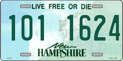 NH license plate 1011624