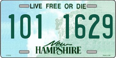 NH license plate 1011629