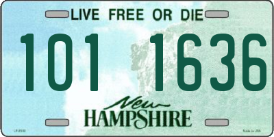 NH license plate 1011636