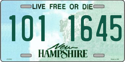 NH license plate 1011645