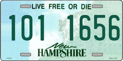 NH license plate 1011656