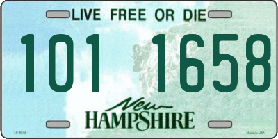 NH license plate 1011658