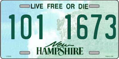 NH license plate 1011673