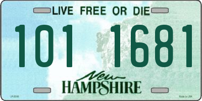 NH license plate 1011681