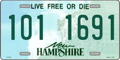 NH license plate 1011691