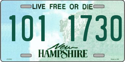 NH license plate 1011730