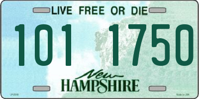 NH license plate 1011750