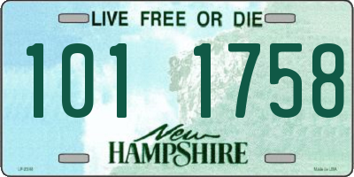 NH license plate 1011758