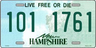 NH license plate 1011761