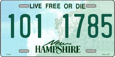 NH license plate 1011785