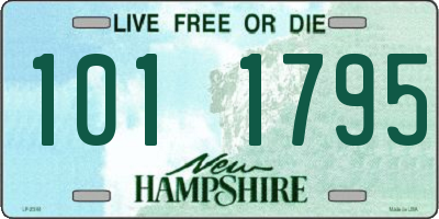 NH license plate 1011795