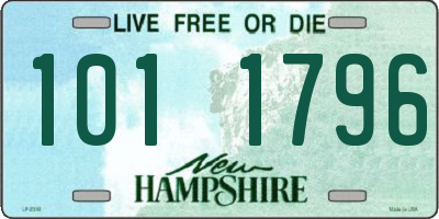 NH license plate 1011796