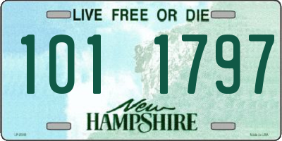 NH license plate 1011797