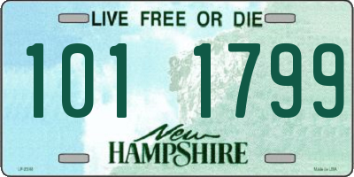 NH license plate 1011799