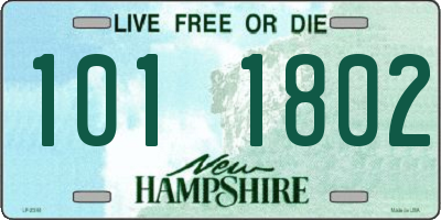 NH license plate 1011802