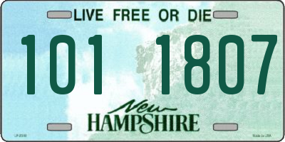 NH license plate 1011807