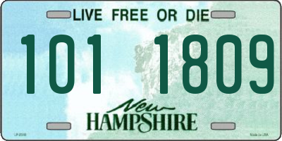 NH license plate 1011809