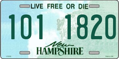 NH license plate 1011820