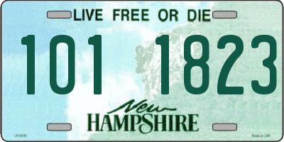 NH license plate 1011823