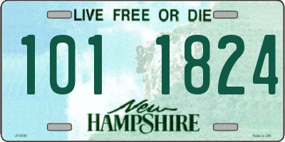 NH license plate 1011824